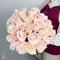 Букет Букет из 25 розовых роз под ленту