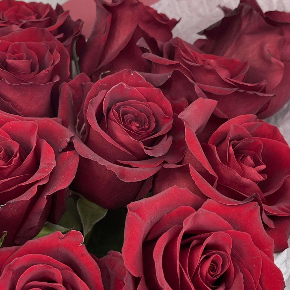 Букет Бордо