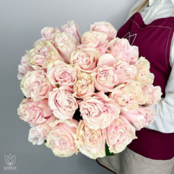 Букет Букет из 25 розовых роз под ленту