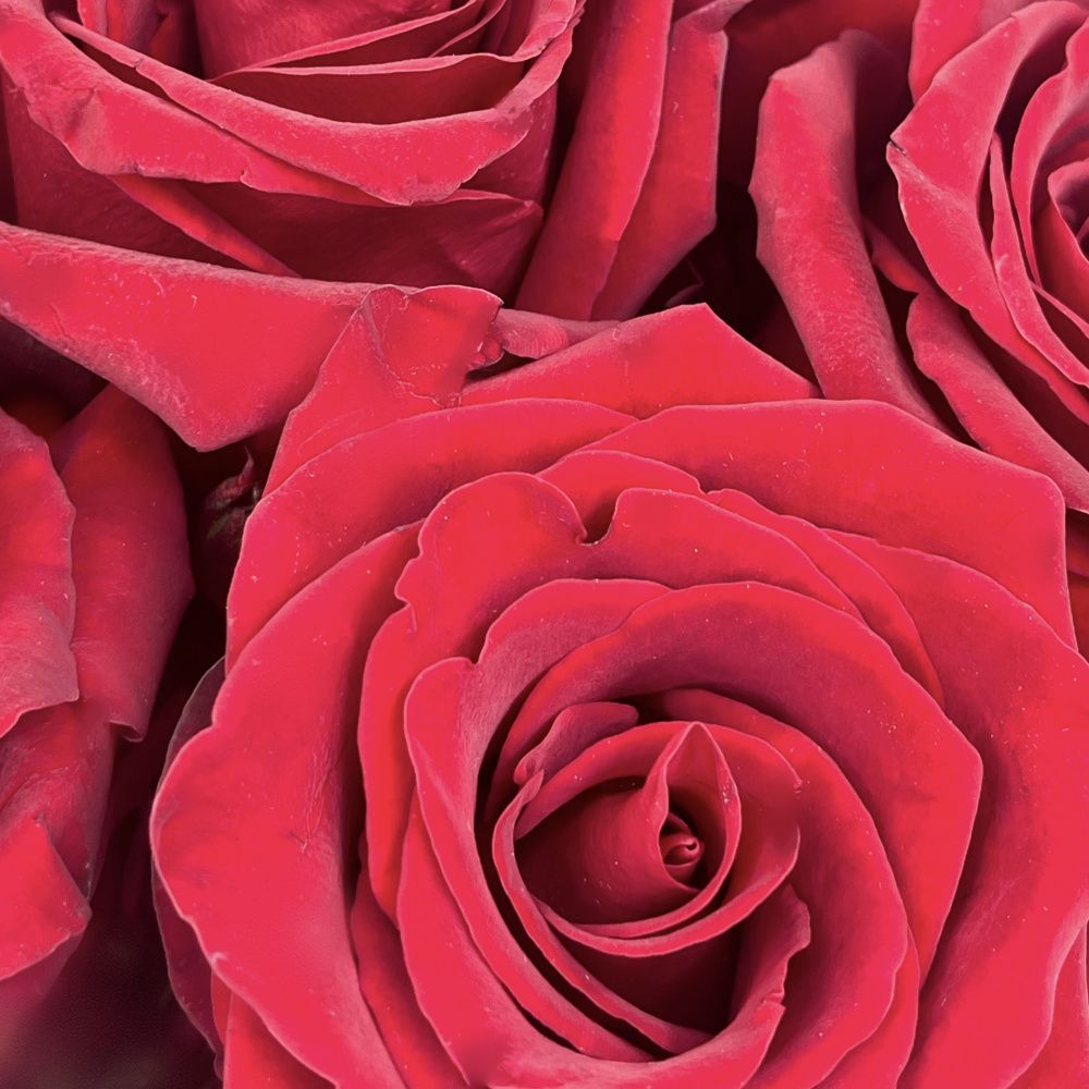 Букет Акция! Розовое сердце