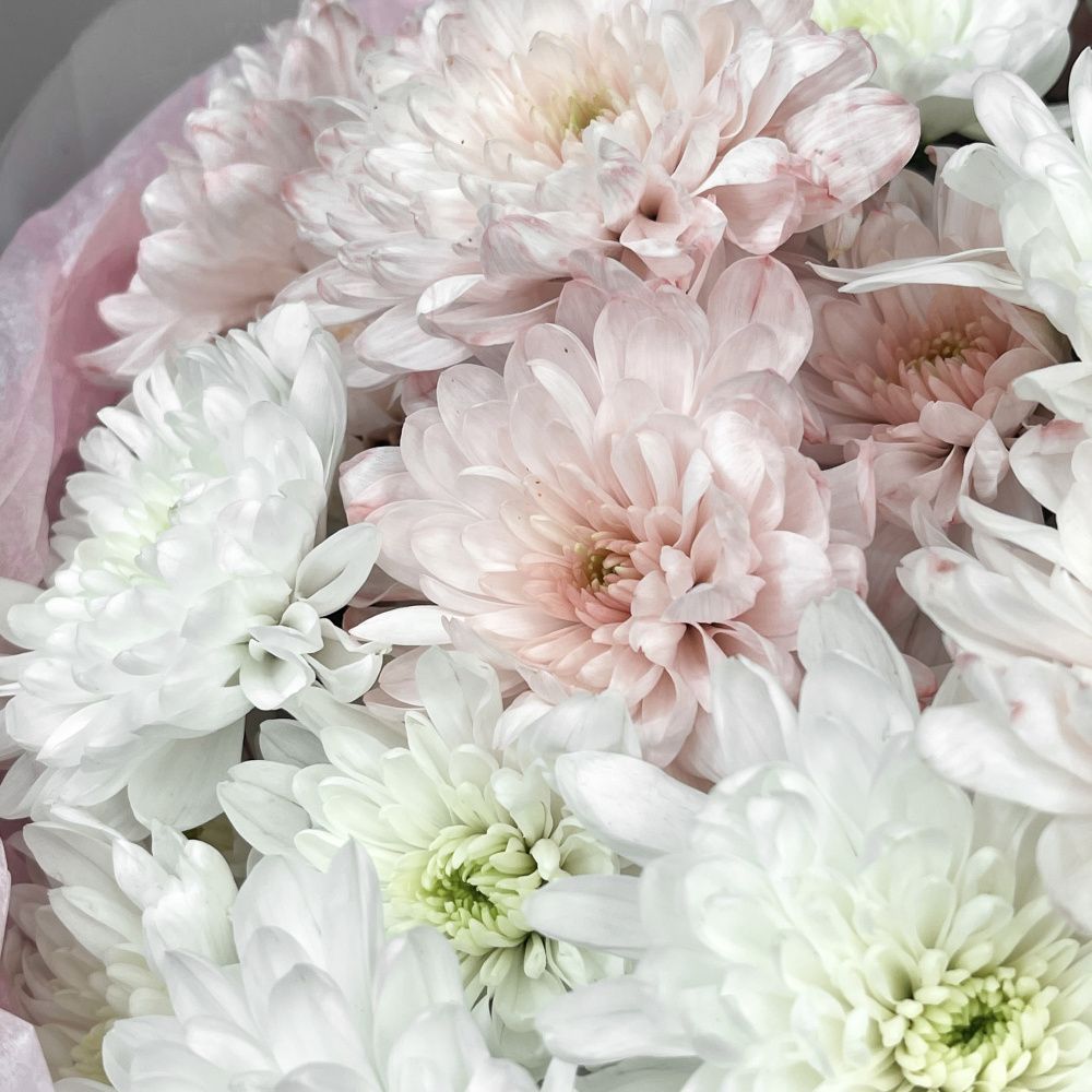 Букет Пудровый сад