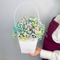 Букет Радуга в сумочке