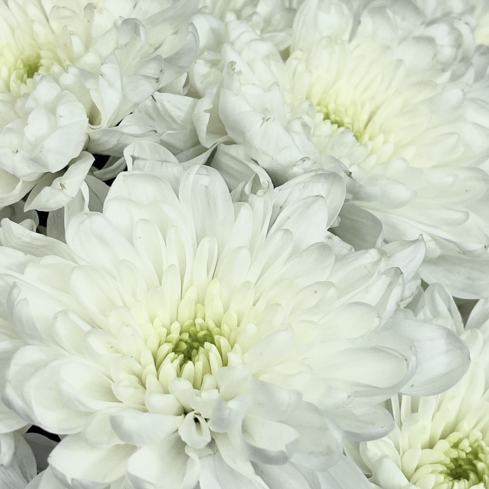 Букет Весенний звон