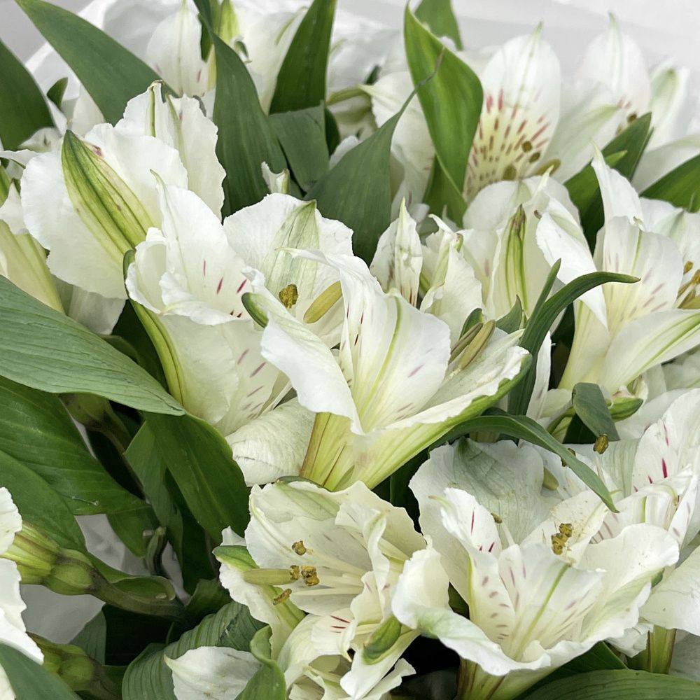 Букет Лолита