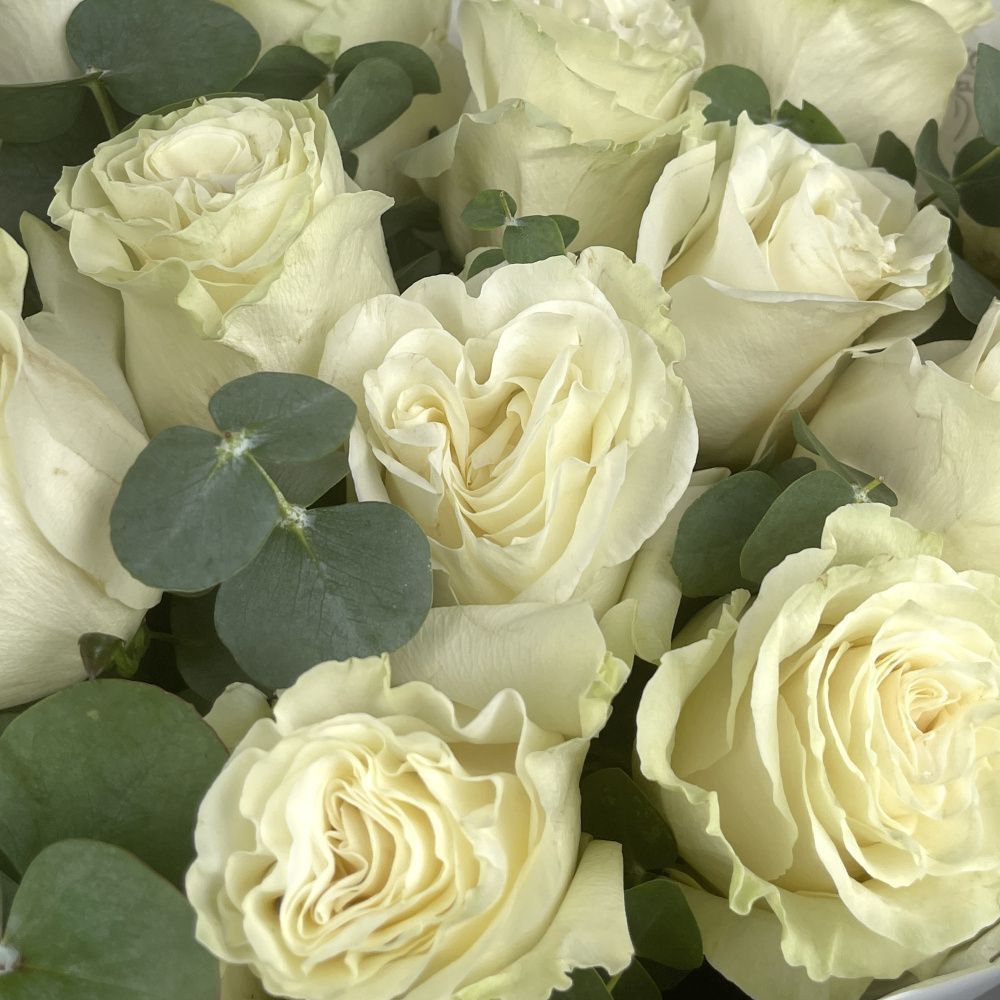 Букет Монобукет из белых роз №2