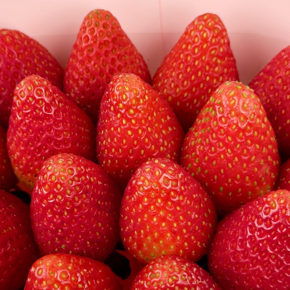 Букет Розовый фламинго