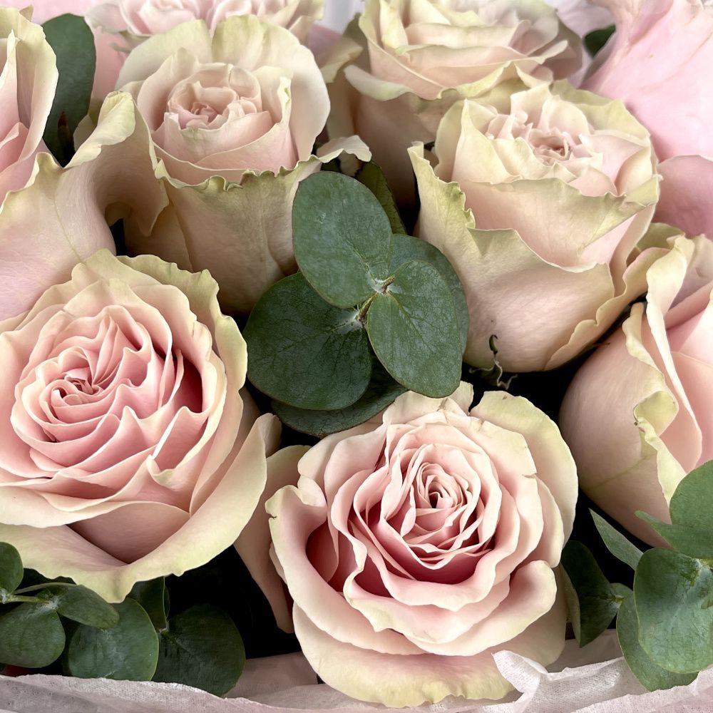 Букет Монобукет из розовых роз №2