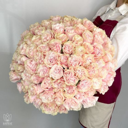 Букет Букет из 101 розовой розы под ленту