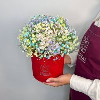 Букет Радуга красок в красном боксе